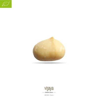 GETROCKNETE FRÜCHTE / Ganze Macadamia-Nüsse - KENIA - Stil 0 - 11,34 Kg - Bio* (*Certified Organic by FR-BIO-10)