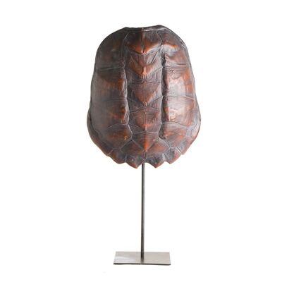 TURTLE' CARAPACE TORTUE RESINE