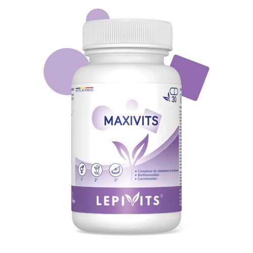 MaxiVits