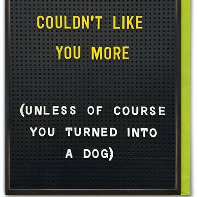 Funny Birthday Card - I Couldn't Like You More by Brainbox Candy