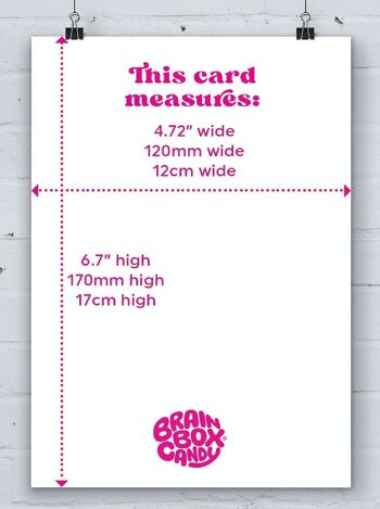 Carte d'anniversaire amusante - Fart In Card Proper Stinks par Brainbox Candy 3