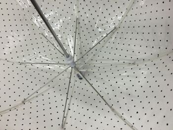 Parapluie Long Transparent Petits Pois Noirs 4