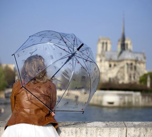 Parapluie Long Transparent Symboles Paris