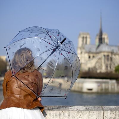 Lange transparente Regenschirm-Paris-Symbole