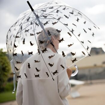 Parapluie Transparent Cloche Chat 1