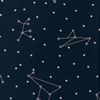 Parapluie de Poche Constellation Argentée 5
