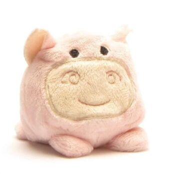 Cochon Schmoozies - nettoyant écran - microfibre dessous 5