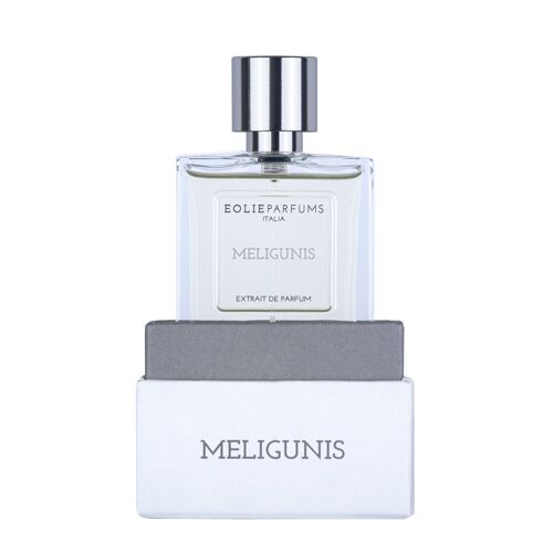 MELIGUNIS-Extrait de Parfum-Esperidato, Aldeidato, Aromatico | 100 ml