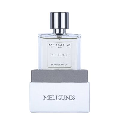 MELIGUNIS-Extrait de Parfum-Hesperidate, Aldehyde, Aromatic | 100ml
