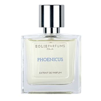 PHOENICUS - Extrait de Parfum - Agrumes, Épicé, Boisé | 100ml 2
