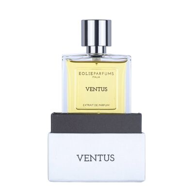 VENTUS - Extrait de Parfum - Épicé, Boisé | 100ml