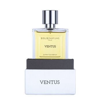 VENTUS - Extrait de Parfum - Épicé, Boisé | 100ml 1