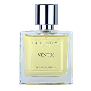 VENTUS - Extrait de Parfum - Épicé, Boisé | 100ml 2