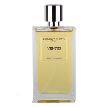 VENTUS - Extrait de Parfum - Épicé, Boisé | 100ml 3