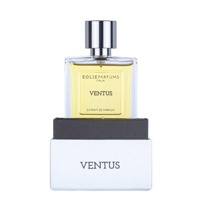 VENTUS - Extrait de Parfum - Épicé, Boisé | 50ml