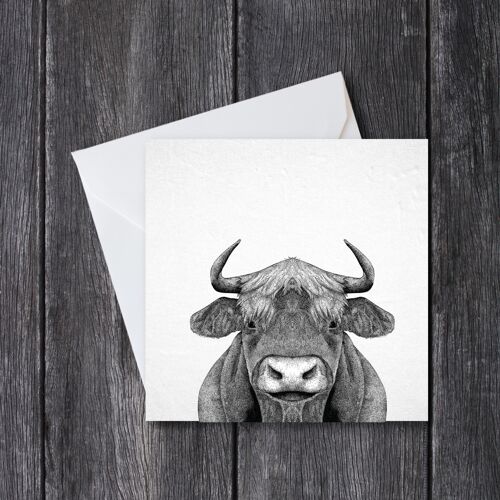 Highland Cow Card