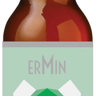 SESSION IPA Bière ERMIN BIO 33cl