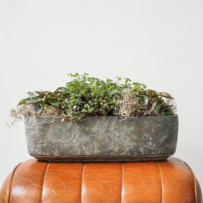 Tivoli Trio Planter