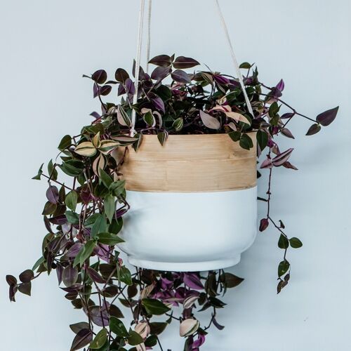 Sustainable Bamboo Hanging Planter