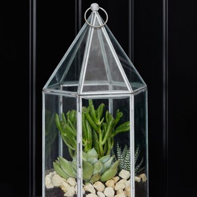 Galvanised Glasshouse Terrarium