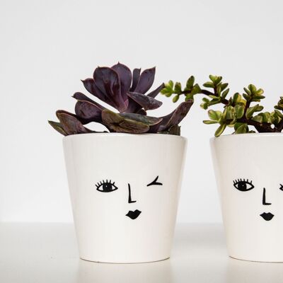 Face Cacti Planter Cheeky