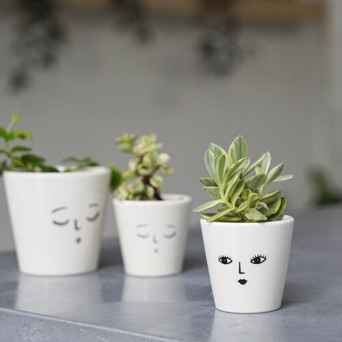 Face Cacti Planter Wakey