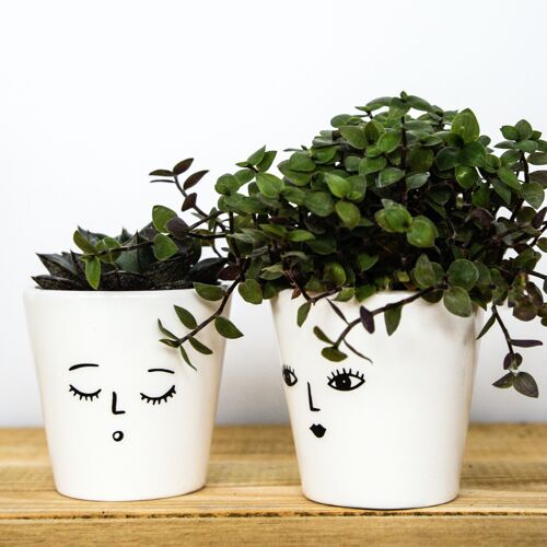 Face Planter Wakey