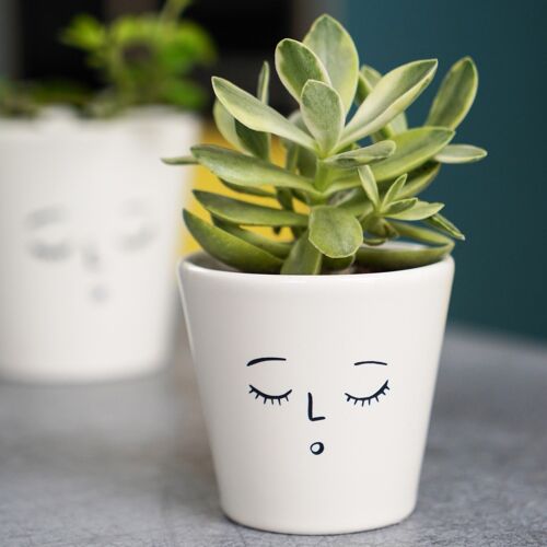 Face Cacti Planter Sleepy