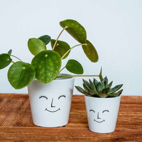Face Cacti Planter Happy