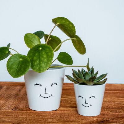Face Cacti Planter Glücklich