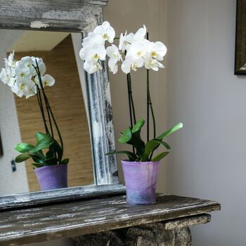 Jardinière d'orchidées évasée en verre recyclé 1