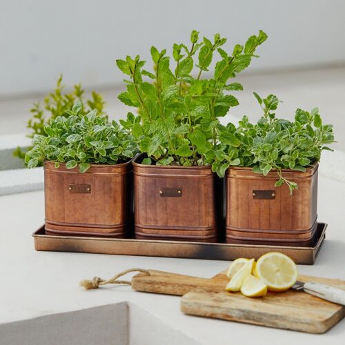 Outdoor Hampton Copper Set of 3 Herb Planters With Tray