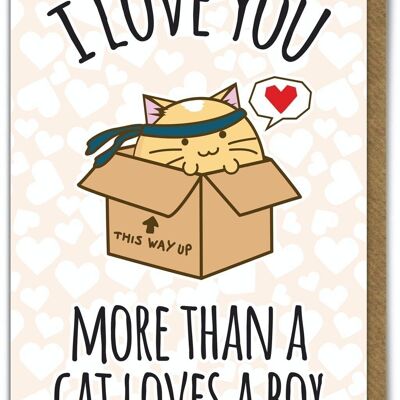 Tarjeta linda divertida de Kuwaii - El gato ama una caja