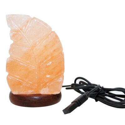 Lampe USB feuille de sel de l'Himalaya