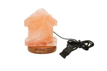 Lampe au sel de l'Himalaya House USB 1