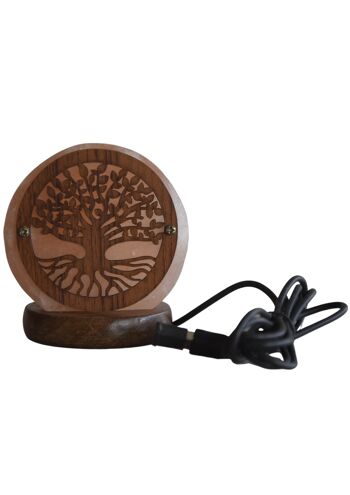 Sel de l'himalaya USB lampe arbre de vie fond 1