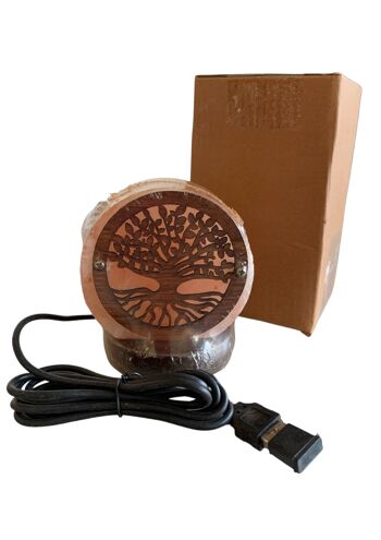 Sel de l'himalaya USB lampe arbre de vie fond 2