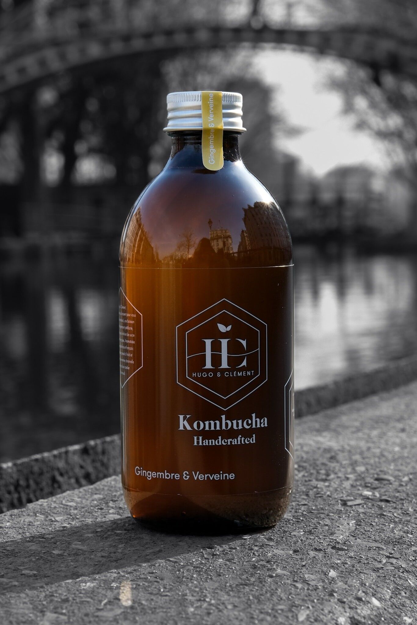Kombucha Ingwer & Zitronenverbene