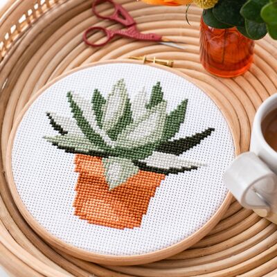 Terracotta succulent pot cross stitch kit
