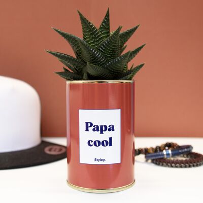 Kaktus - Cooler Vater