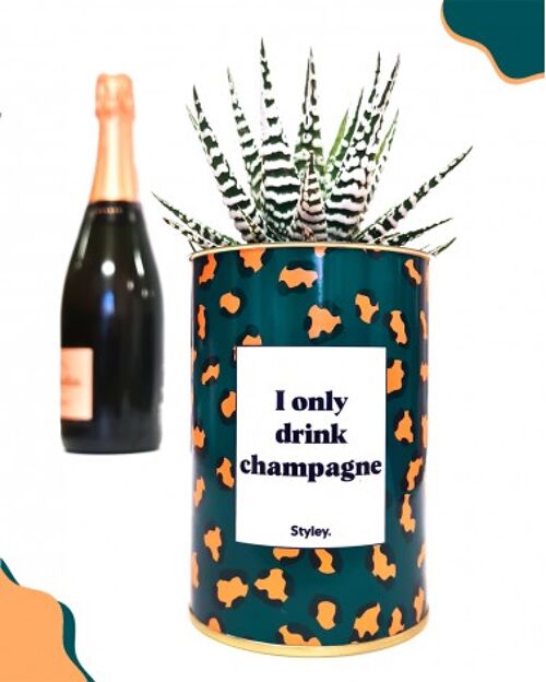 Cactus - I only drink champagne