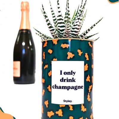 Cactus - I only drink champagne