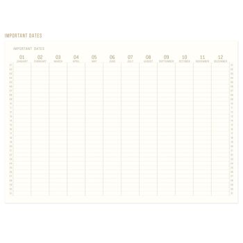 Journal Jumbo Standard Issue No.80 - Vieux Rose 2