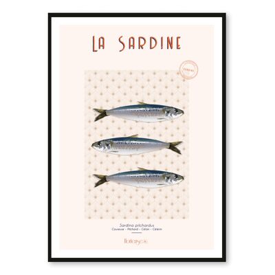Póster de sardina