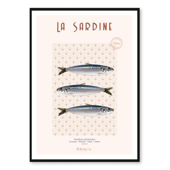 Affiche La Sardine 1