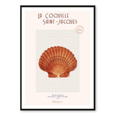 Das Coquille Saint-Jacques-Plakat