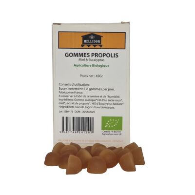 HONEY AND EUCALYPTUS PROPOLIS GUM 45g