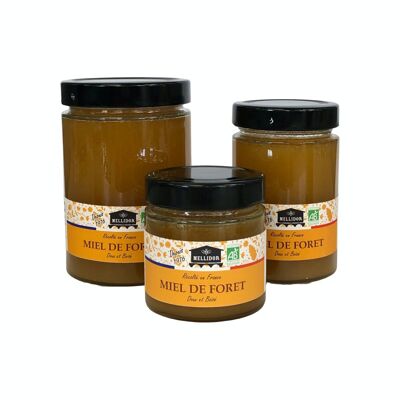 ORGANIC FOREST HONEY FROM FRANCE