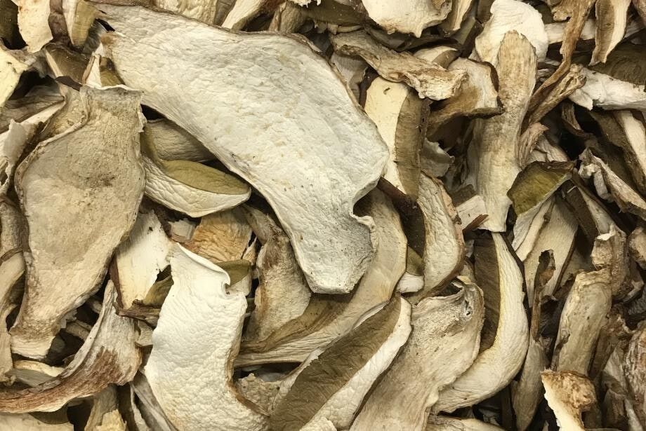 CEPES SECS   Boletus Edulis