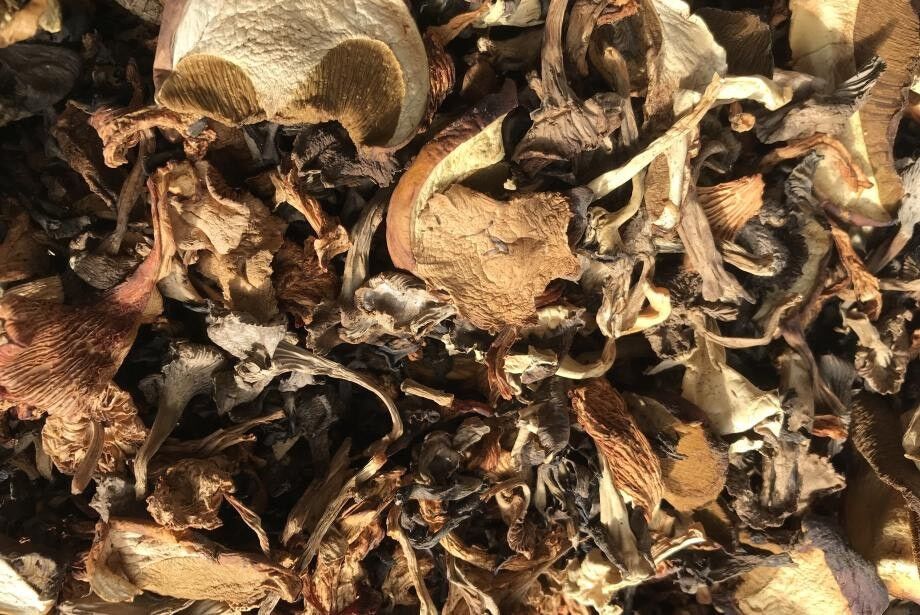 MELANGE FORESTIER SECS